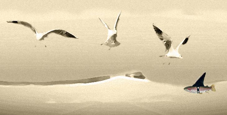 Fisch schützt sich durch Tarnung vor Feinden